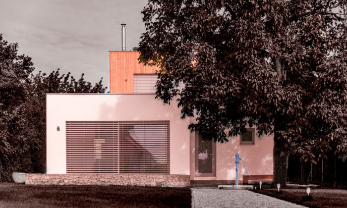 Under the walnut tree